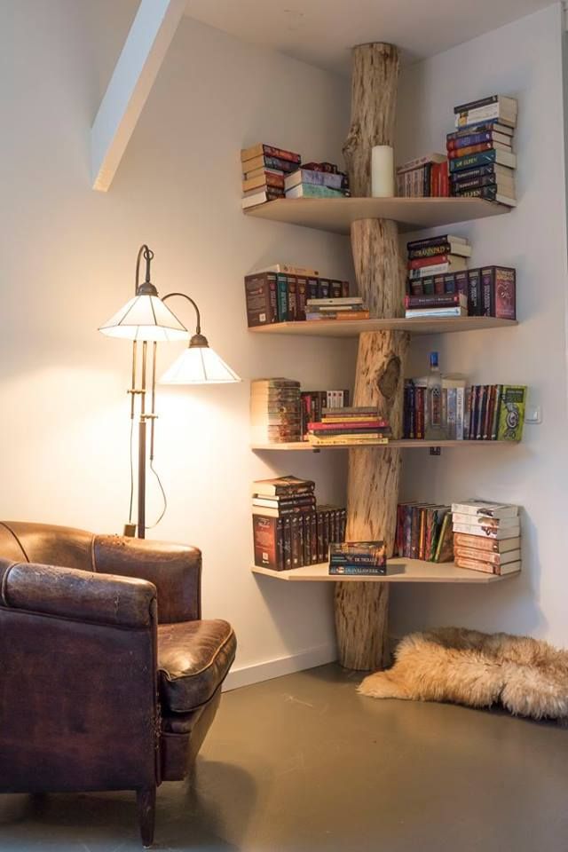 Beautiful Bookshelf