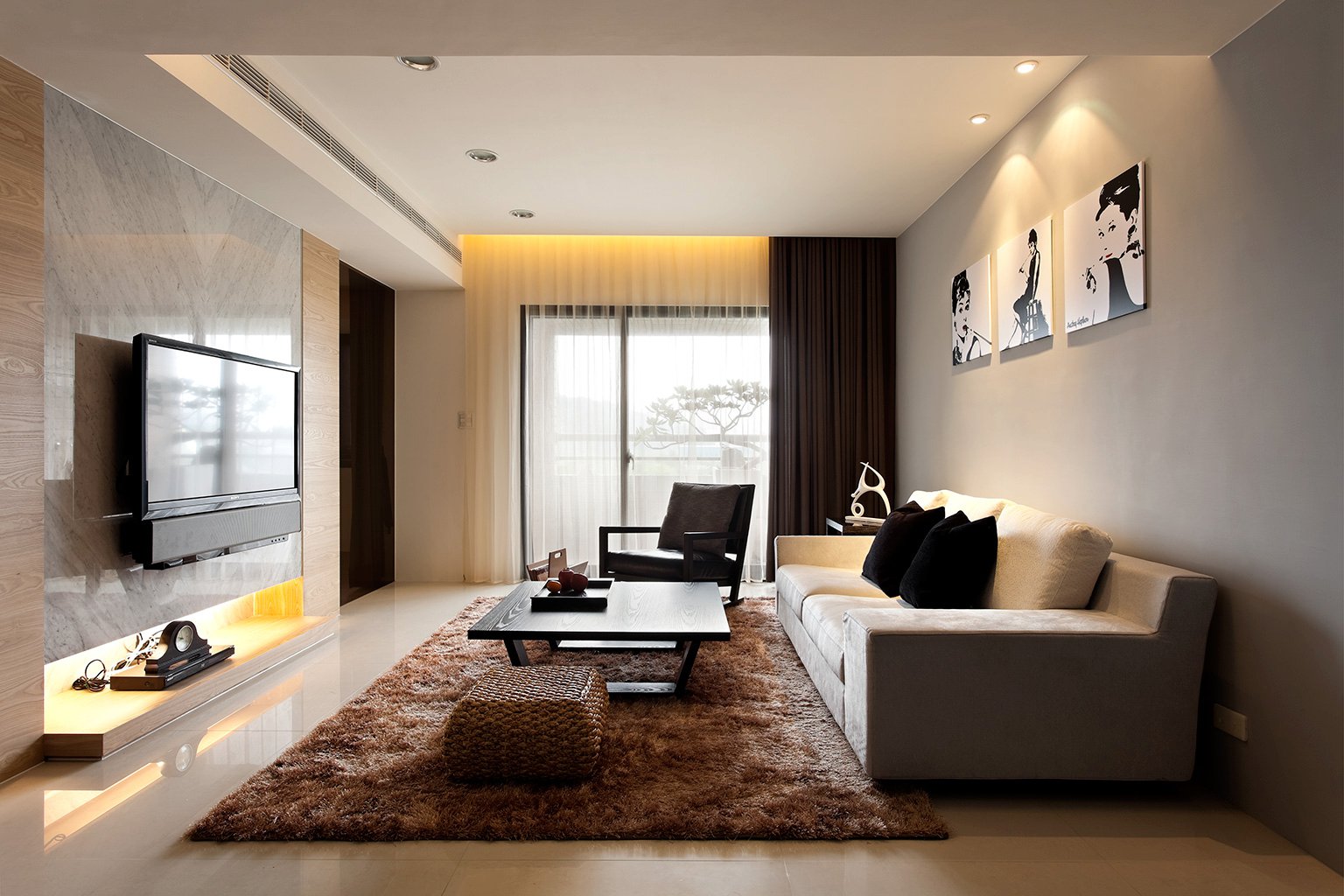 Modern Living Room with Beautiful Rug