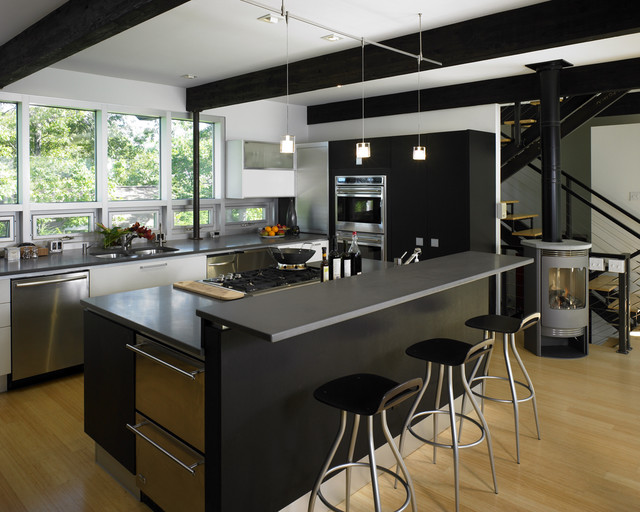 contemporary-kitchen functional