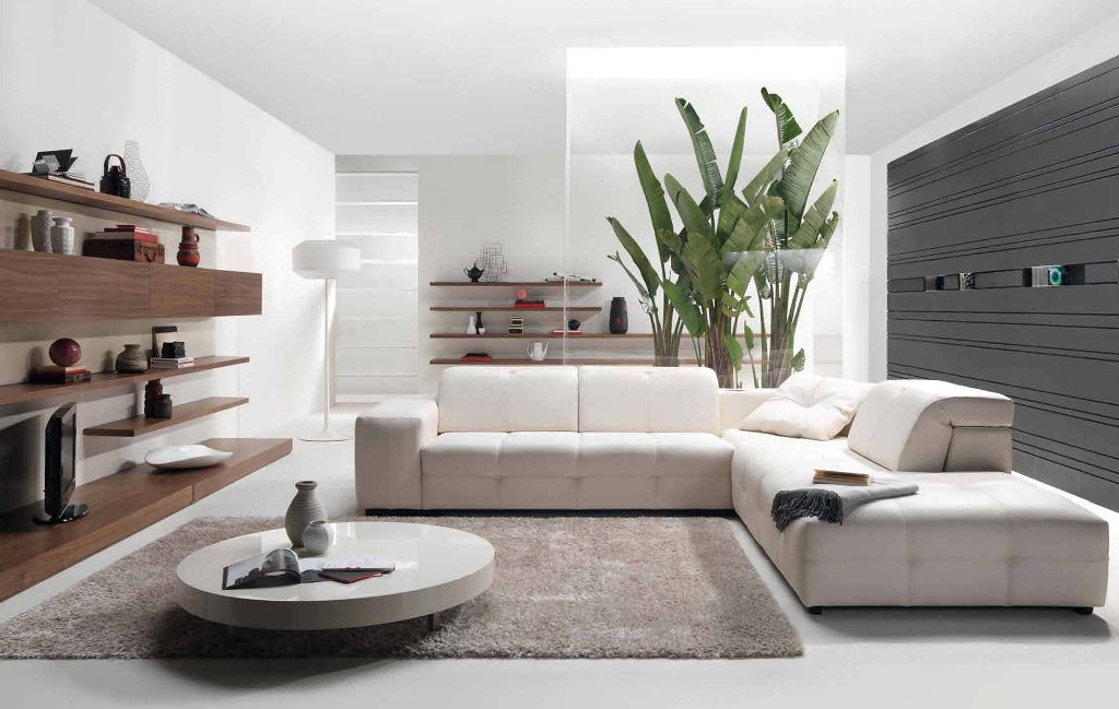 Trendy Modern Living Room Design