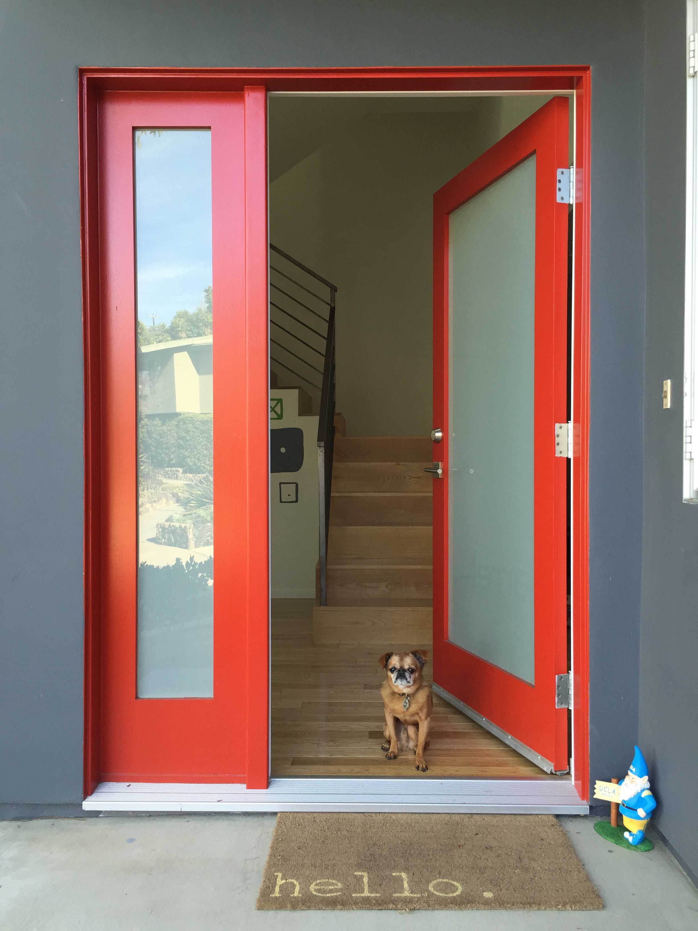 Red front door with a dog