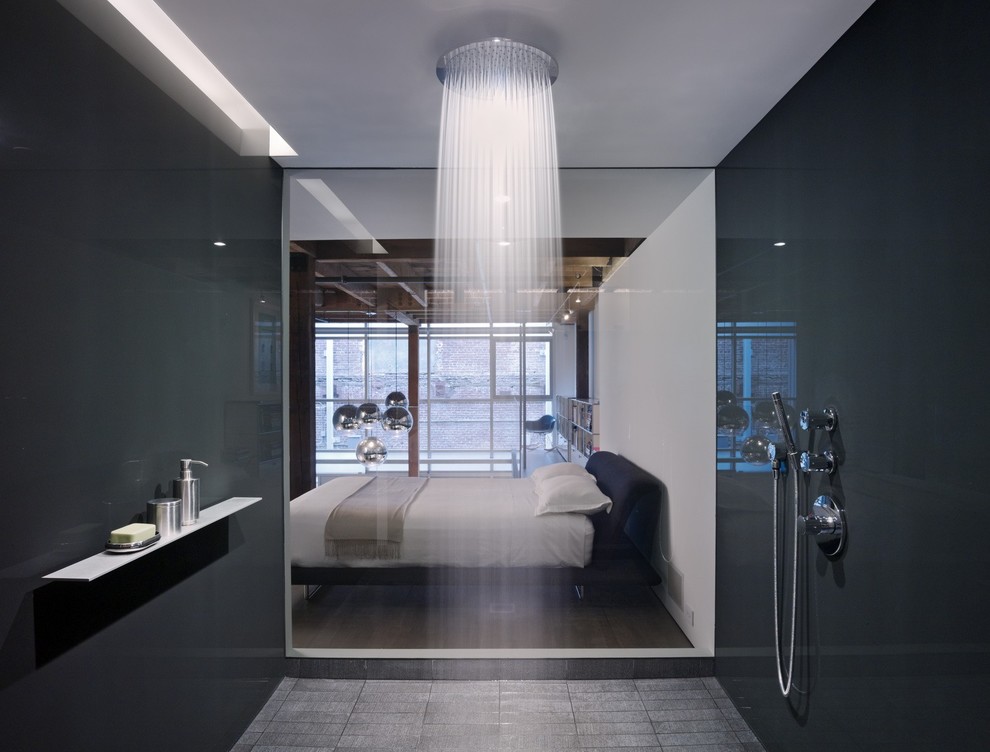 modern-walk-in-shower-bedroom-view