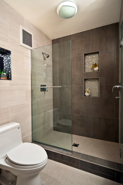 modern-frameless-bathroom-shower