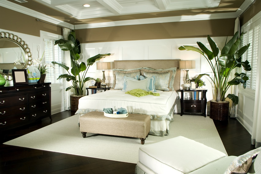 elegantly-decorated-master-bedroom