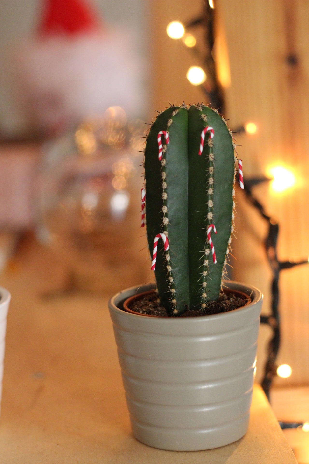 DIY Cactus Ornaments