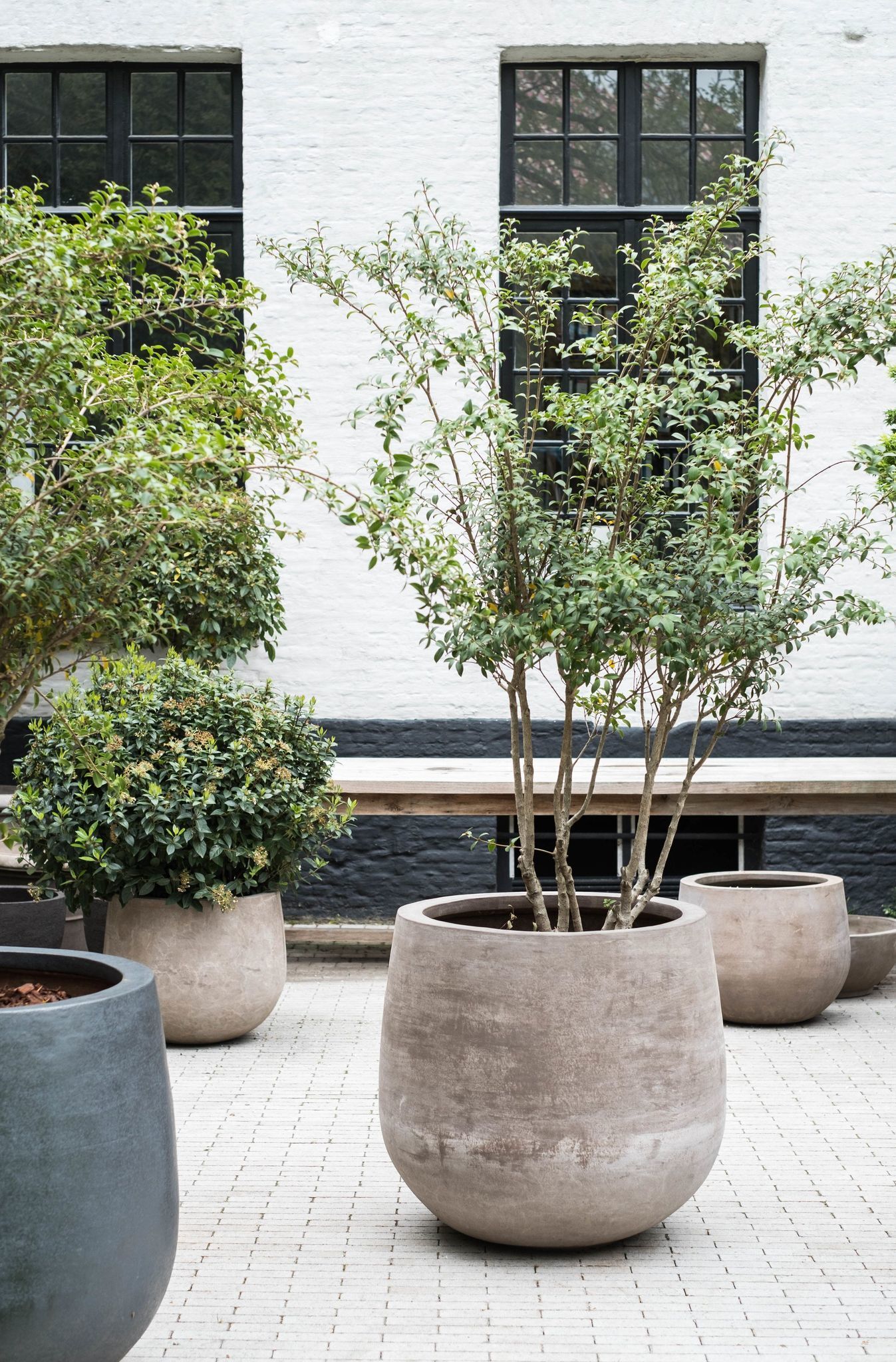14 -Oversized pots bring character to the outdoor space