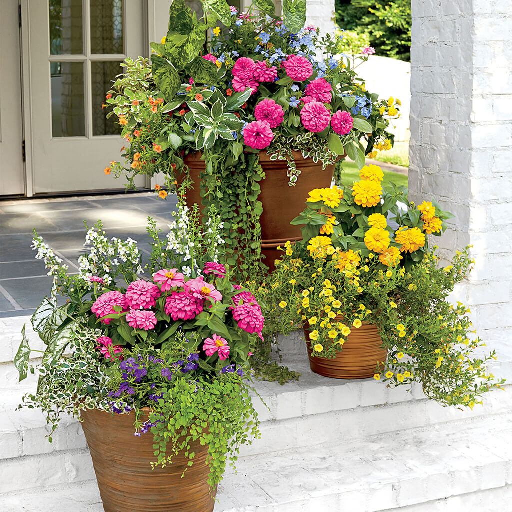 6. Decorate the area with flowerpots