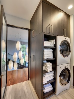 25 Best Contemporary Storage & Closets Design Ideas