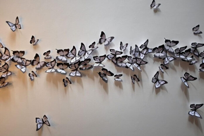 Butterflies on wall